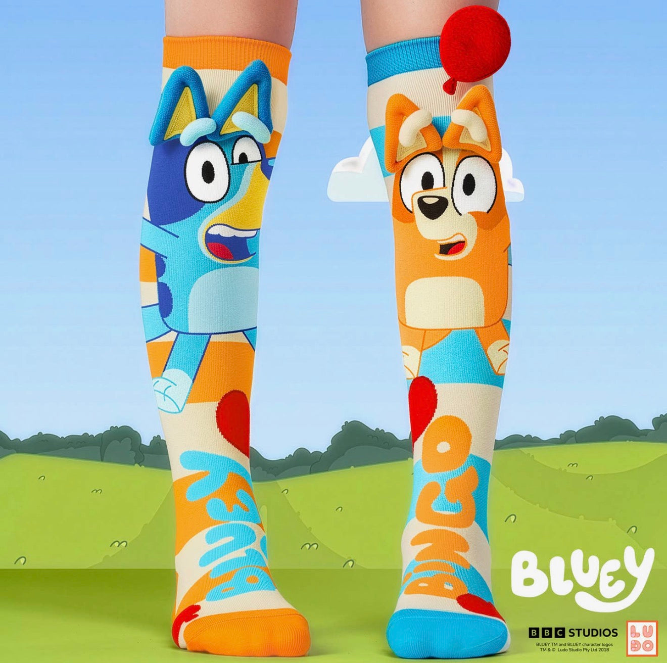 Bluey socks MM