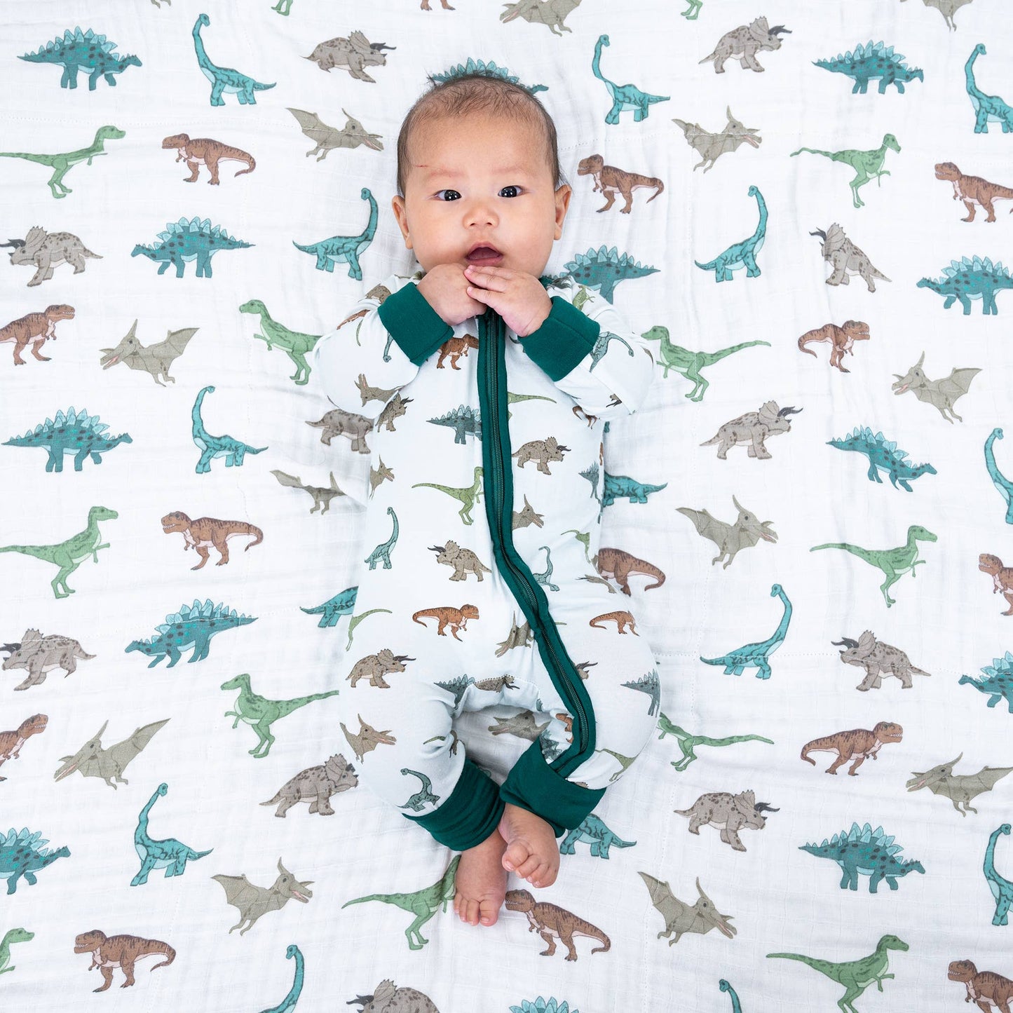 Dinosaur Baby Bamboo Pajamas